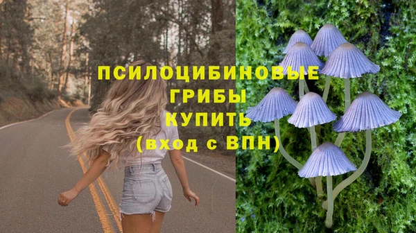 гидра Барнаул