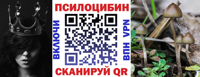 Псилоцибиновые грибы мухоморы  Луга 