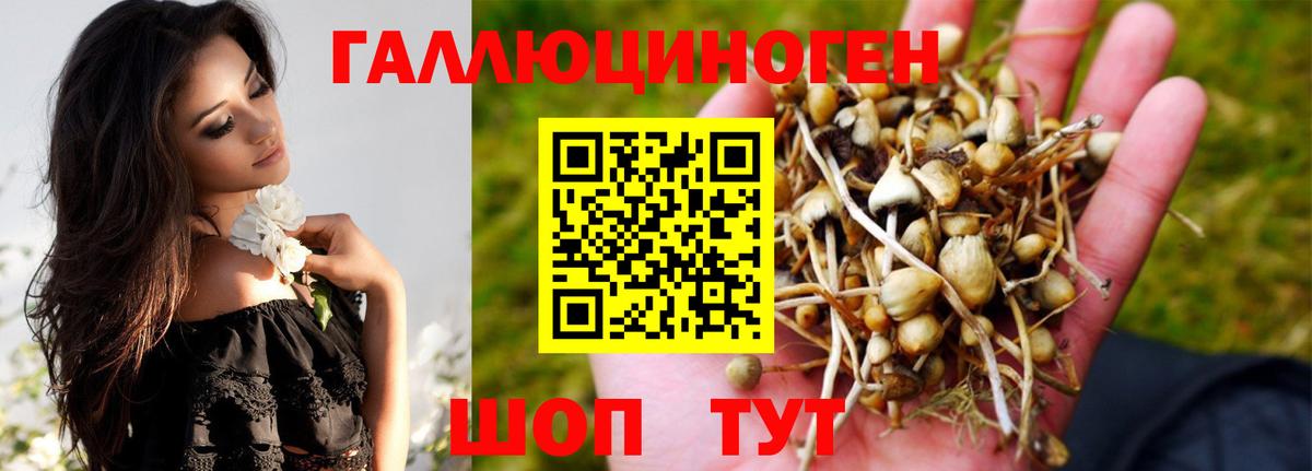 Галлюциногенные грибы мухоморы  Вход с VPN  Луга 